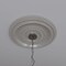 Ekena Millwork Cole PVC Medallion (Canopies up to 5 1/8"), 19"OD x 3 1/2"ID x 1"P, Universal Metallic Pearl Mist CMP19COEPE - alternate 8